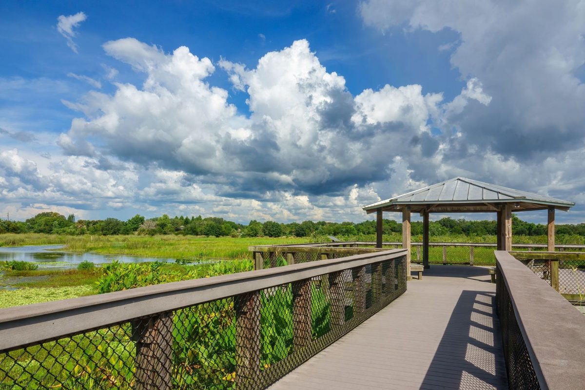 nature board walk in panama city beach