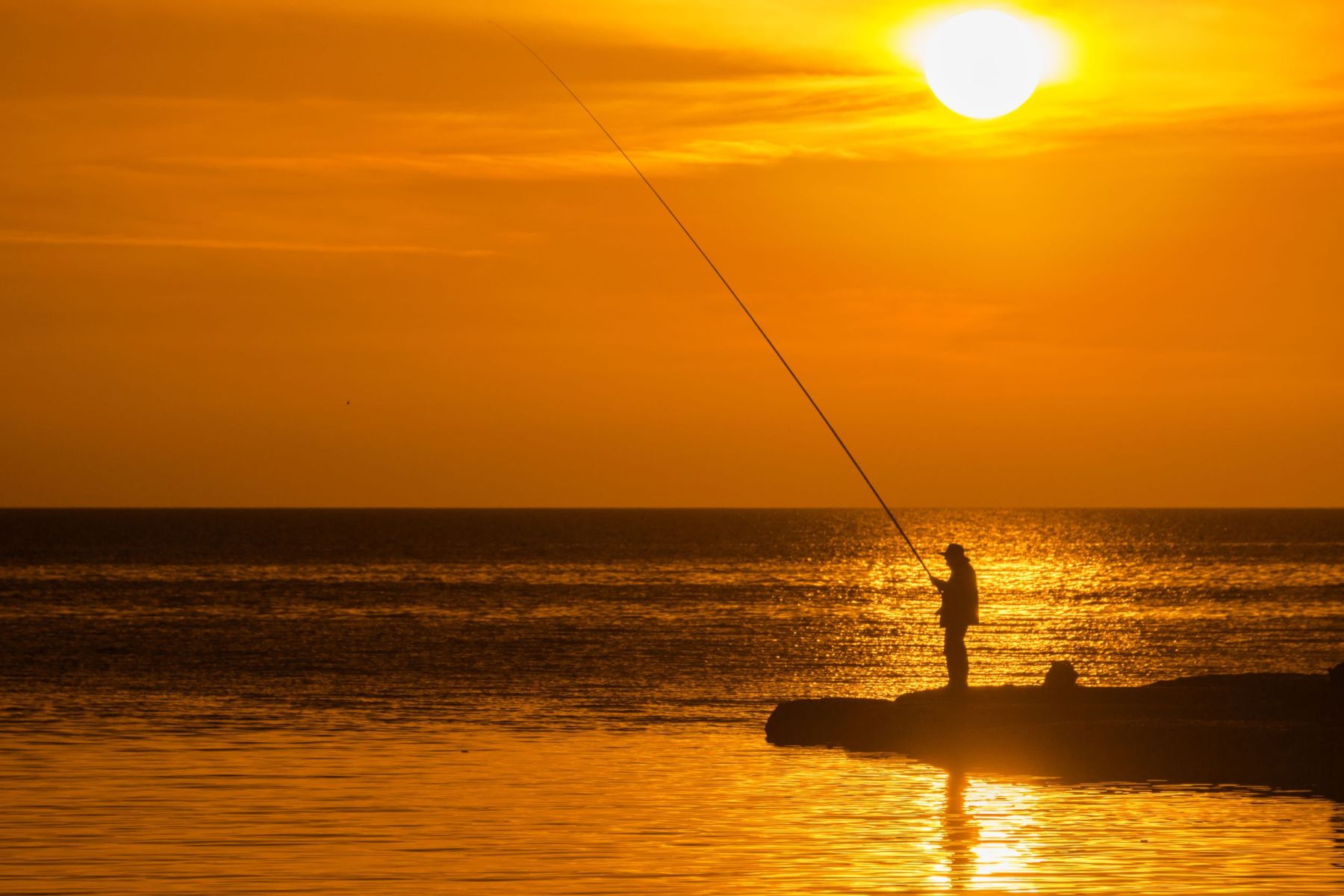 person fishing at sunset
