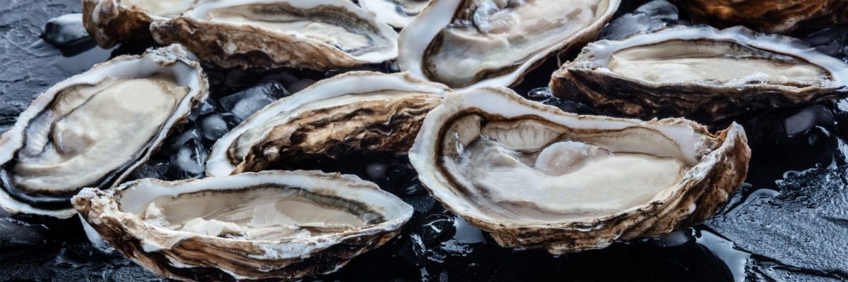open oysters sitting on a table