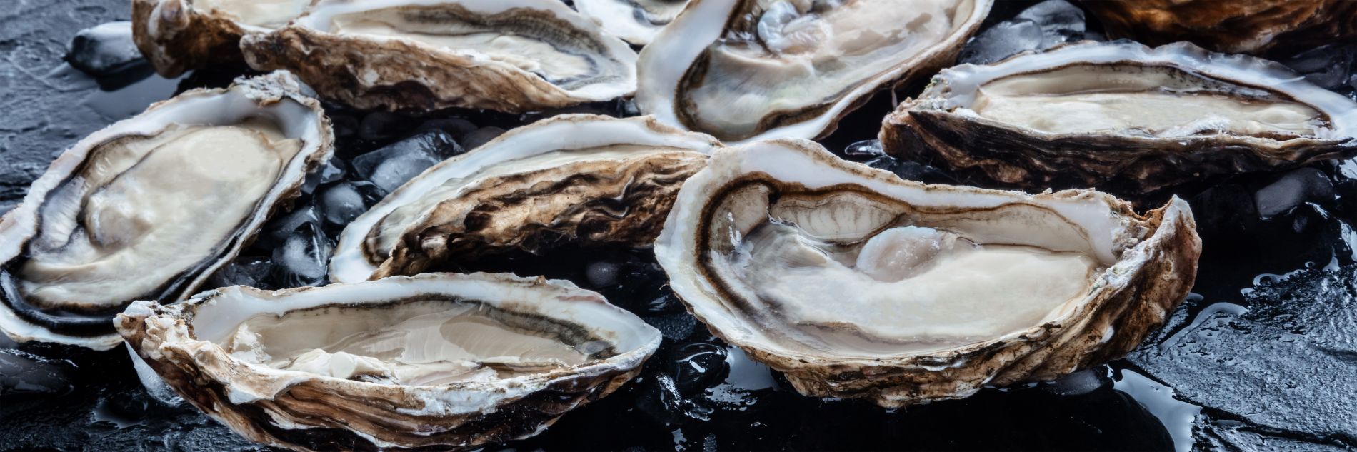 oysters spread out